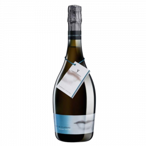 Albert Vilarnau Chardonay Pinot Noir